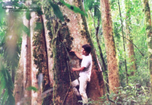 bosques-de-bombon-1997