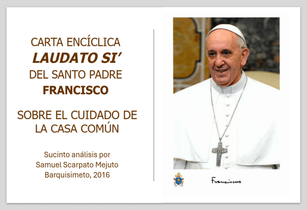 Papa francisco