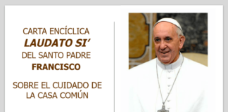 Papa francisco