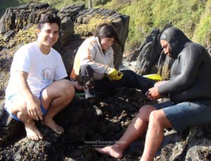 Junto a una familia mapuche lafkenche, desnudando piures extraídos en la bahía de Mehuín, sur de Chile