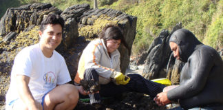 Junto a una familia mapuche lafkenche, desnudando piures extraídos en la bahía de Mehuín, sur de Chile.