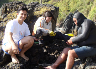 Junto a una familia mapuche lafkenche, desnudando piures extraídos en la bahía de Mehuín, sur de Chile.